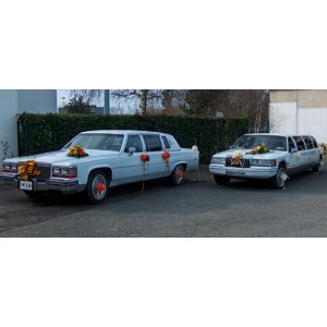 Lincoln Town-car Limousine 1994