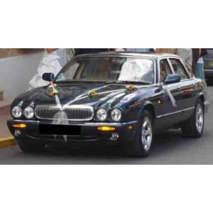 Jaguar Berline XJ8 2001