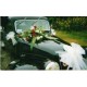 Citroen traction 11 BL 1952