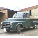 dodge pick-up B3 1953 