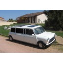 mini austin limousine 1988