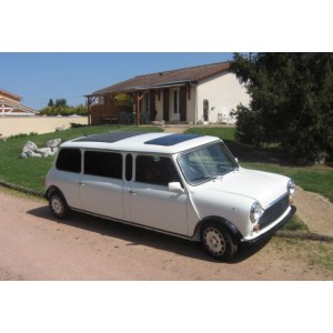 mini austin limousine 1988