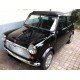 austin mini mayfair 1989