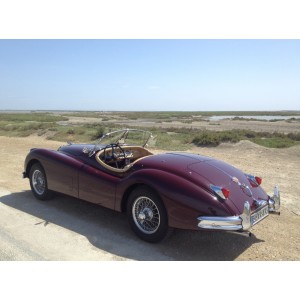 jaguar XK 140 roadster 1955 