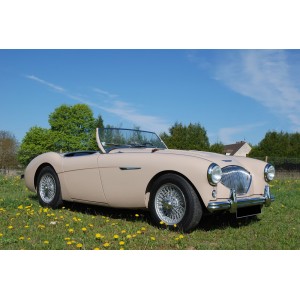 austin healey 1954 cabriolet