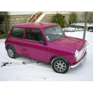 austin mini 1984 