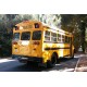 school bus de 1982