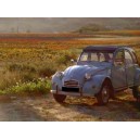 Citroën Découvrable 2 CV 4 1972