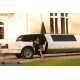 Lincoln town-car Limousine 1997