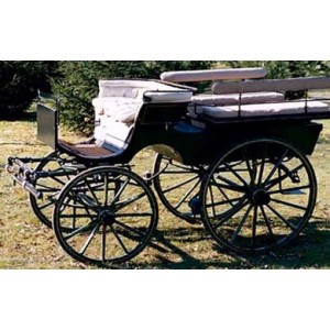 Calèche Wagonnette 1900